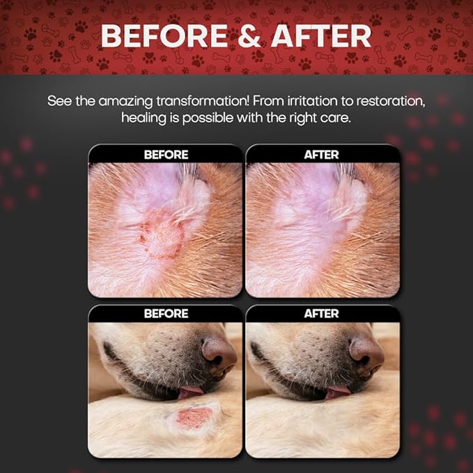 2% Chlorhexidine Wipes for Dogs 3X Larger | Yeast Infection Ringworm Fungus Hot Spot Itch Relief | Medicated Antibacterial Antifungal Gentle Soothing Topical Wipes for Dog Cat | 50 Wipes 5x6