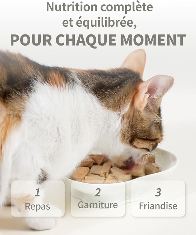 Freeze-Dried Cat Food, 97% Animal Origin Soft Dry Food for Cats Kitten, High Protein Healthy Freeze Dried Cats Raw Treat & Topper (Beef Recipe - 14 Ounce)