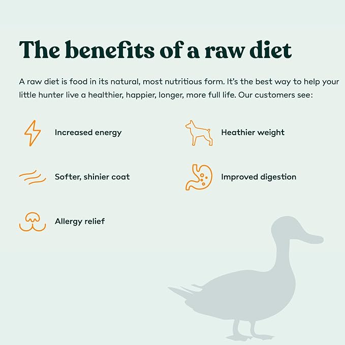 Little Hunter Duck Dog Treats Freeze Dried | Raw Single Ingredient Duck Morsel for Snacks, Training, Dog Food Toppers - All Natural, 2 oz