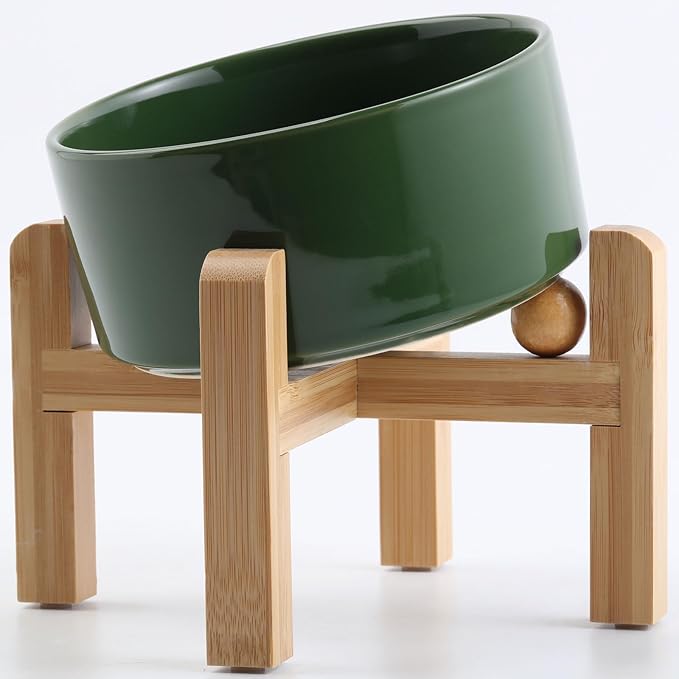 Petygooing Elevated/Raised 15°Slanted Ceramic Dog Bowl for Small and Medium Breeds, Tilted Anti Slip Pet Feeding Bowl,Food Water Dish with Stand for Cats and Dogs (28 OZ/3.6 Cups) Rust Green
