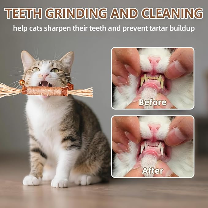 Natural Dried Matatabi Cat Chew Stick with Gall Fruit, Raffia Grass & Bell Ball Toys for Cat, Silvervine Sticks Interactive Catnip Toy for Teething & Entertainment(Size L Color G)