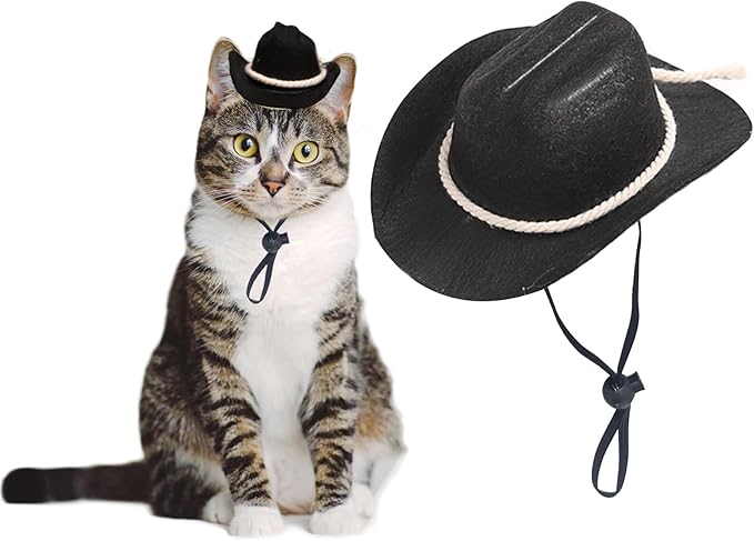 Dog Cowboy Hat Cat Cowboy Hat Pet Cowboy Costume Mini Cowboy Hat for Dogs Cat Holiday Halloween Pet Party Decoration (Black-style3, Small)