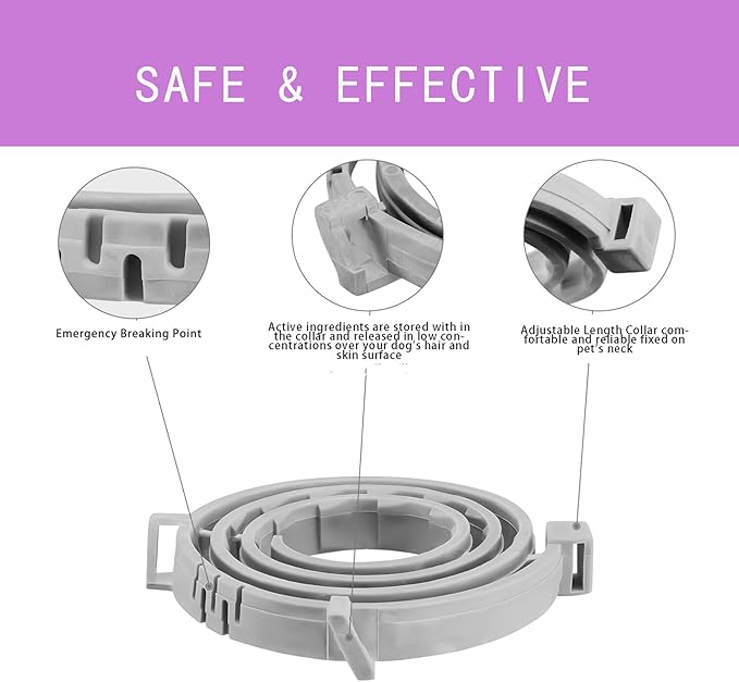 Flea and Tick Collar for Small Dogs,Under 18 lbs,12-Month Protection,Natural Ingredients,Waterproof & Adjustable,Includes Flea Comb & Tick Removal Tool,2 Pack