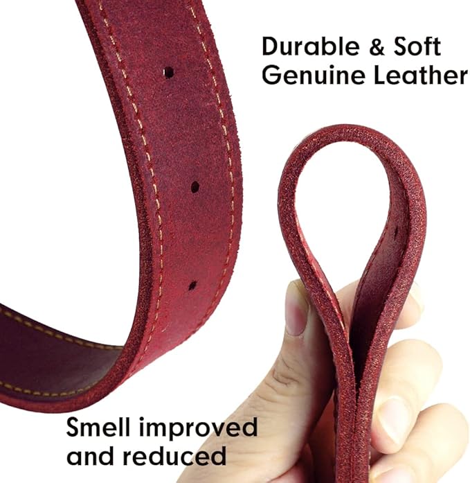 Didog Genuine Leather Dog Collars with Engraved Nameplate, Personalized Soft Leather Dog Collar with Custom ID Tag, Brown/Green/Red for Medium Large Dogs (XL,Red)