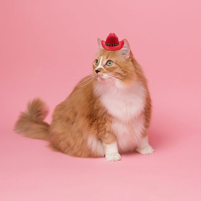 Dog Cowboy Hat Cat Cowboy Hat Pet Cowboy Costume Mini Cowboy Hat for Dogs Cat Holiday Halloween Pet Party Decoration (red, Small)