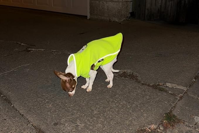 JACKO & CO - Fleece Vest Dog Sweater with Leash Ring - Soft, Warm & Lightweight Pullover Coat for Small & Medium Dogs, Puppies & Cats - Cozy Fall/Winter/Spring Pet Jacket (Lime Green, Small 4-6lbs)