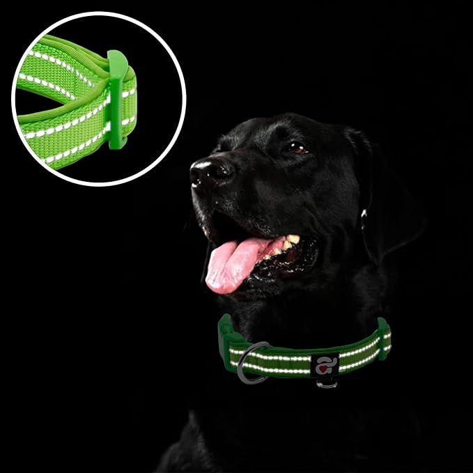 azuza Reflective Dog Collar, Soft Neoprene Padded Pet Collar with ID Tag Ring, Adjustable for Puppy and Small Dogs,Green,XS
