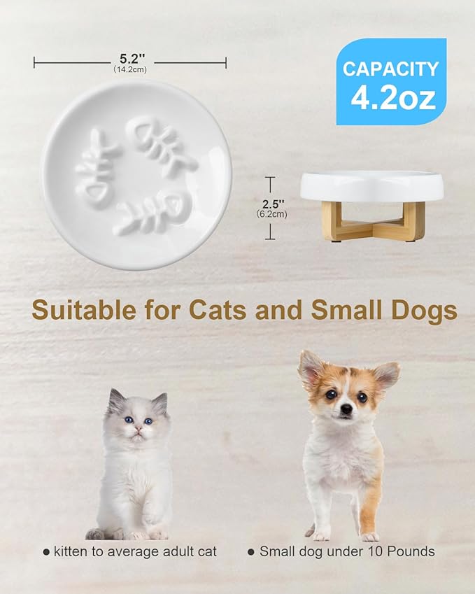Ceramic Cat Dog Feeder, Slow Feed Bowl with Stand, 2.5'' High, 5.2'' Wide, Whisker Friendly, Easy to Clean, for Cats and Small Dogs