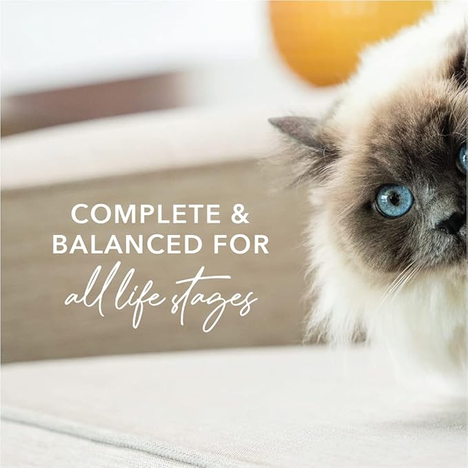 Feline Natural New Zealand Canned Catfood Wet Food, High-Meat, Low-Carb, & Grain Free Cat Food Wet, Lamb Feast, 6 oz, Pack of 12