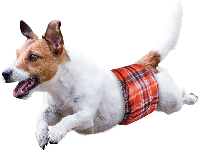MICOOYO Washable Belly Bands for Male Dogs Reusable Doggie Diapers Absorbent Doggy Wraps with Adjustable Fastener - XSmall (Pack of 3, Plaid Red and Blue and Grey)