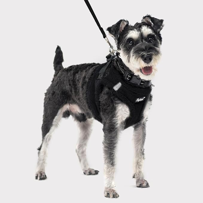 PUPTECK Adjustable Dog Harness Collar and Leash Set Step in No Pull Pet Harness for Small Medium Dogs Puppy and Cats Outdoor Walking Running, Soft Mesh Padded Reflective Vest Harnesses, Black M