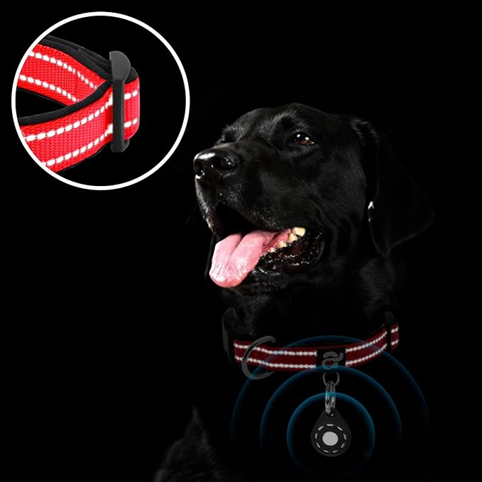 azuza Reflective Dog Collar with Airtag Holder, Soft Neoprene Padded Pet Collar with ID Tag Ring, Adjustable for Small Dogs,Red,S