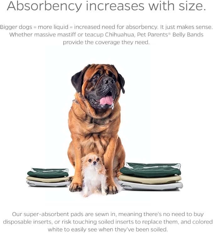 Pet Parents® Washable Belly Bands for Male Dogs (3pack) + Extendrs® of Durable Dog Diapers Male, Premium Male Dog Diapers & Dog Wraps (Small, Spruce)
