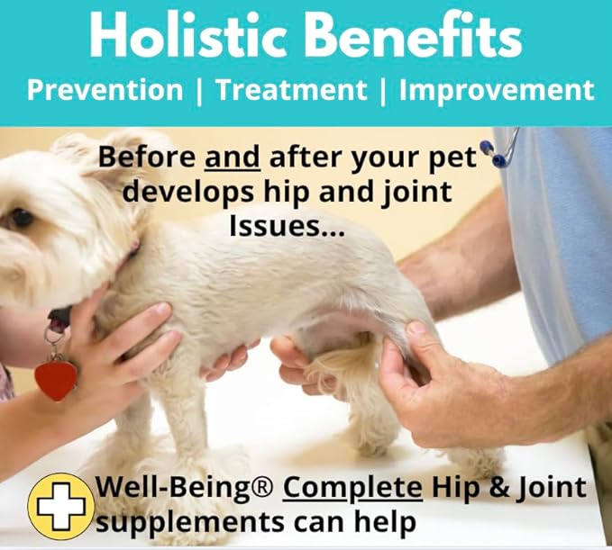 Well-Being for Dogs Joint Health Supplement, Contains Glucosamine, Plus Chondroitin, Collagen and MSM, Professional Grade Wellness Supports Healthy Joints, For All Breeds and Sizes, 60 Doses