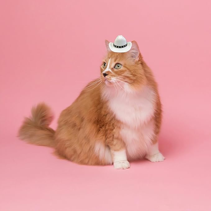 Dog Cowboy Hat Cat Cowboy Hat Pet Cowboy Costume Mini Cowboy Hat for Dogs Cat Holiday Halloween Pet Party Decoration (White, Small)