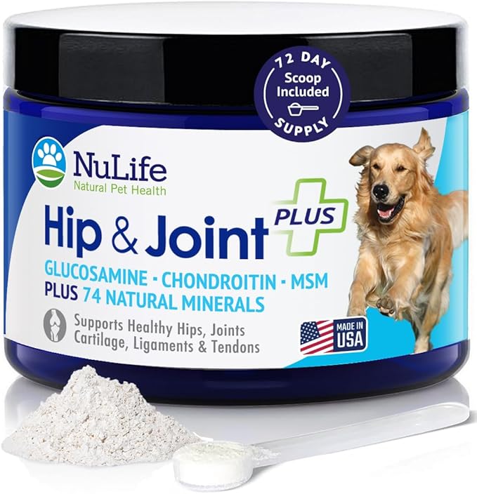 Advanced Glucosamine Powder for Dogs for Arthritis Pain Relief & Hip Dysplasia, Supports Joint Health & Reduces Inflammation with Glucosamine, Chondroitin, MSM & Coral Calcium, 6oz Powder