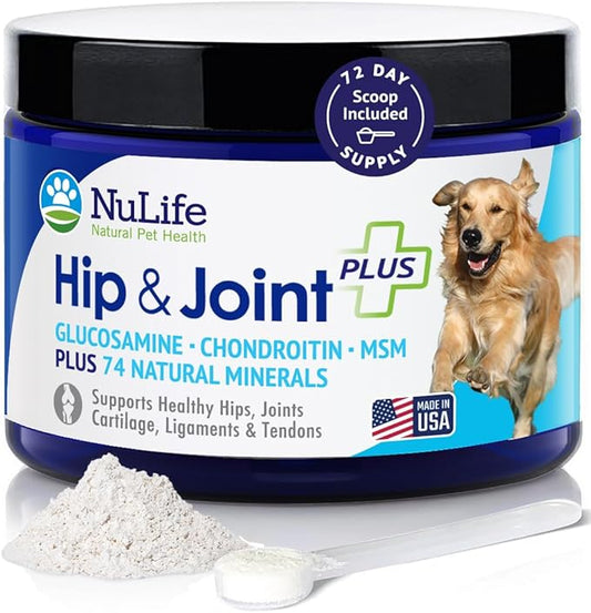 Advanced Glucosamine Powder for Dogs for Arthritis Pain Relief & Hip Dysplasia, Supports Joint Health & Reduces Inflammation with Glucosamine, Chondroitin, MSM & Coral Calcium, 6oz Powder