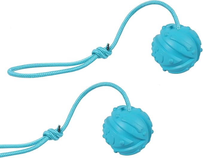 Dog Training Ball on Rope, 2Pcs Dog Rope Toys for Chew Training, Pull Throw and Fetch