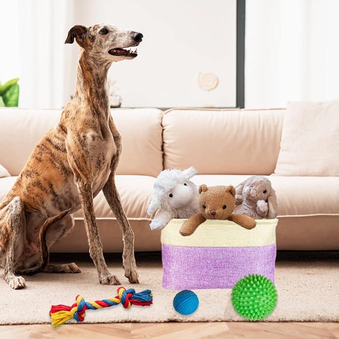 Personalized Dog Cat Toy Storage Basket with Pet's Name Sturdy Foldable Collapsible Storage Bin with Handles for Organizing Pet Stuff, Toys, Clothes, 15" x 9.8" x 9"