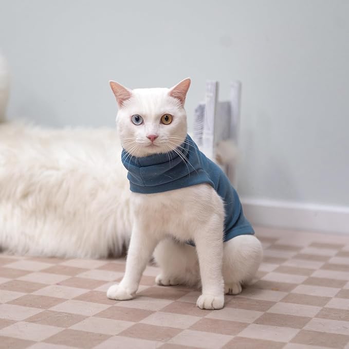 EXPAWLORER Soft Cat Sweater - Sweaters for Cats Only Warm Kitten Clothes, Fall and Winter Pet Coat Pullover Design, Fleece Sweatshirt Clothing Also for Puppy Small Dogs, Blue Medium