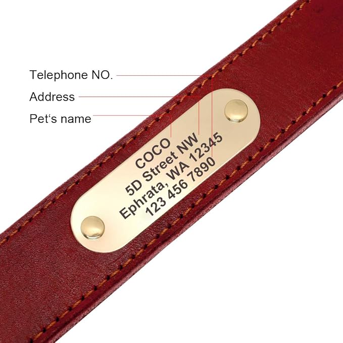 Didog Genuine Leather Dog Collars with Engraved Nameplate, Personalized Soft Leather Dog Collar with Custom ID Tag, Brown/Green/Red for Small Dogs (M,Red)