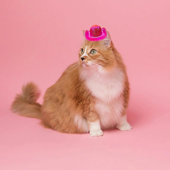 Dog Cowboy Hat Cat Cowboy Hat Pet Cowboy Costume Mini Cowboy Hat for Dogs Cat Holiday Halloween Pet Party Decoration (Rose red-style2, Small)