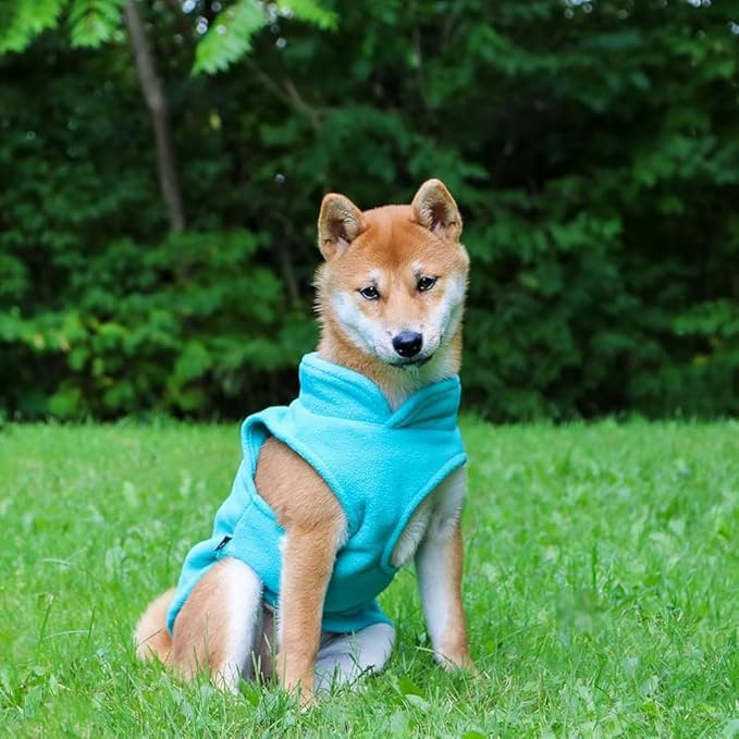 JACKO & CO - Fleece Vest Dog Sweater with Leash Ring - Soft, Warm & Lightweight Pullover Coat for Small & Medium Dogs, Puppies & Cats - Cozy Fall/Winter/Spring Pet Jacket (Turquoise, Large 10-16lbs)