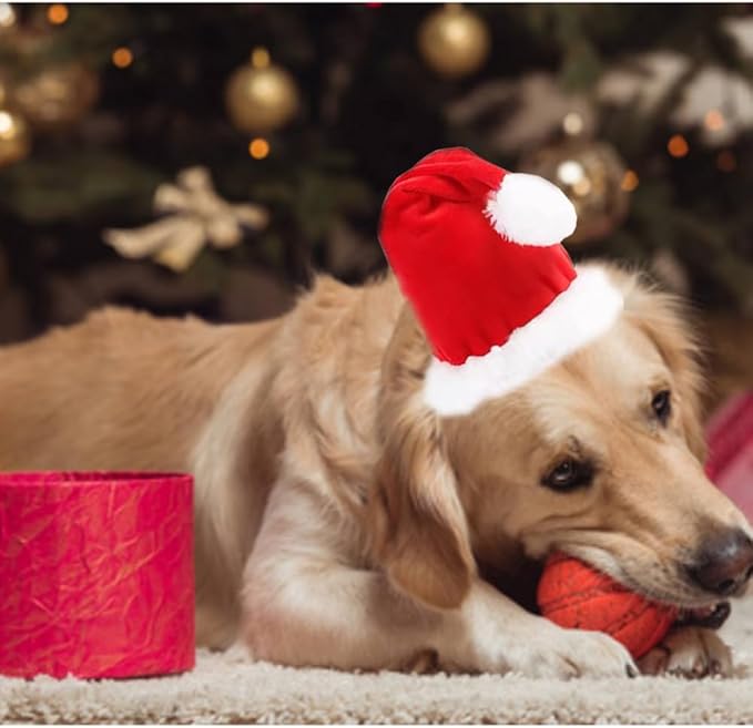 ANIAC Adjustable 3D Christmas Dog Santa Hat for Medium to Large Dogs Pet Dog Santa Costume…