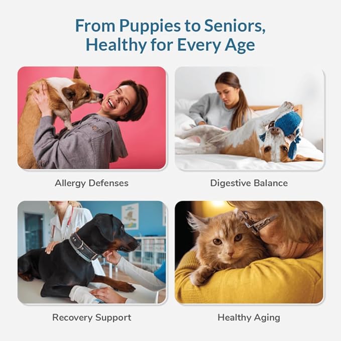 Wellness Extract Bovine Colostrum Powder for Pets – 100% Grass-Fed Cows– Natural Immune & Gut Health Support – Skin & Coat Supplement for Dogs & Cats – 150g