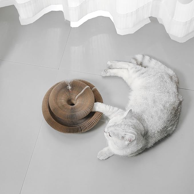 Kitty Curls Cat Toy Kurlz, Interactive Scratch Pad, Foldable Accordion,Recyclable Scratcher with Ball (Pink)