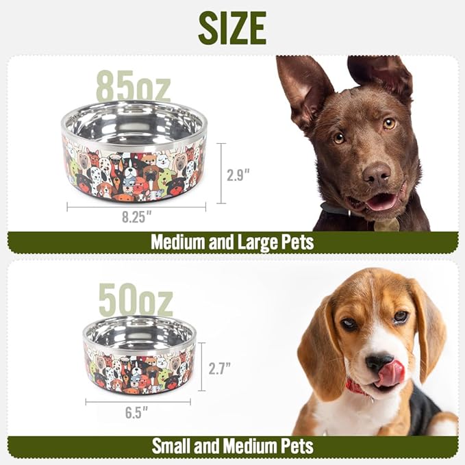 Selly's Den Pawdience Double Walled Stainless Steel Bowl Non-Slip, Durable, Rust Resistant Pet Food & Water Dish, BPA Free Rubber Base (85 Oz - Large)
