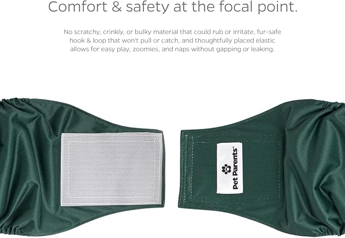 Pet Parents® Washable Belly Bands for Male Dogs (3pack) + Extendrs® of Durable Dog Diapers Male, Premium Male Dog Diapers & Dog Wraps (Small, Spruce)