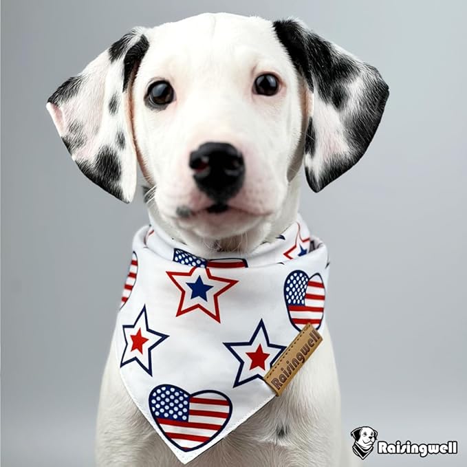 4th of July Dog Bandanas 2 Pack, 4 Pattern Reversible Holiday Bandana for Boy and Girl, Premium Durable Fabric, Summer Triangle Scarf for Medium to Extra Large Breed Dogs (X-Large)