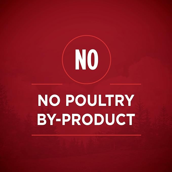 Purina ONE High Protein Wet Dog Food True Instinct Tender Cuts in Dog Food Gravy With Real Chicken and Duck - (Pack of 12) 13 oz. Cans