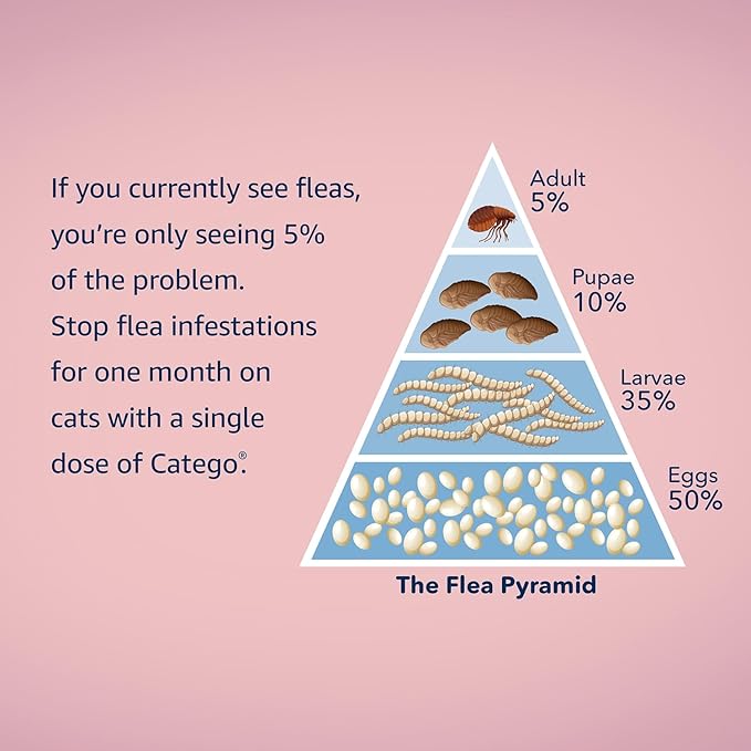 Catego for Cats Flea and Tick Treatment & Prevention (Over 1.5 lbs) 12-Month Supply