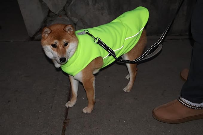 JACKO & CO - Fleece Vest Dog Sweater with Leash Ring - Soft, Warm & Lightweight Pullover Coat for Small & Medium Dogs, Puppies & Cats - Cozy Fall/Winter/Spring Pet Jacket (Lime Green, XS 2-4lbs)