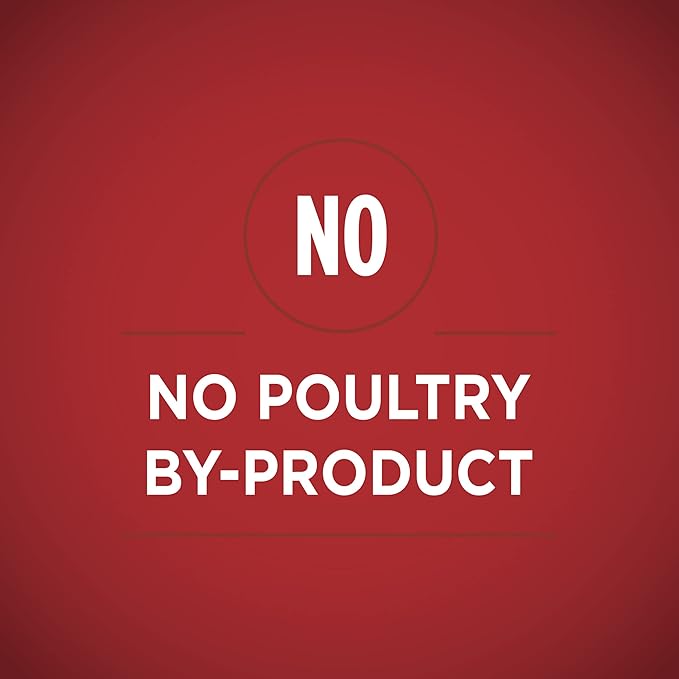 Purina ONE Natural Wet Dog Food Gravy, Tender Cuts in Gravy Beef and Barley Entrée - 13 Ounce (Pack of 12)