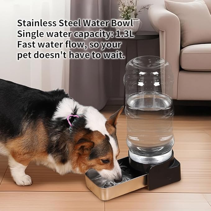 PAKEWAY 1 Gallon / 3.8L Automatic Gravity Dog Water Bowl Dispenser, Stainless Steel Large Capacity Pet Waterer with 3 Filters for Small to Medium Dogs and Cats