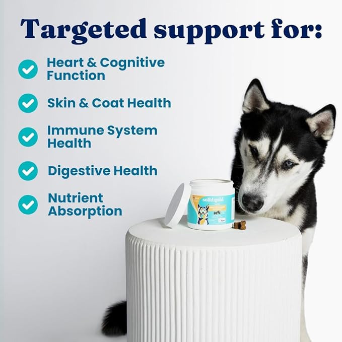 Solid Gold Dog Multivitamin - Soft Dog Vitamins & Supplements Chews - All-in-One Heart, Immune, Brain, Skin, Coat & Gut Health Support w/Vitamin C, B12, Probiotics & Antioxidants - Bacon Flavor 120ct