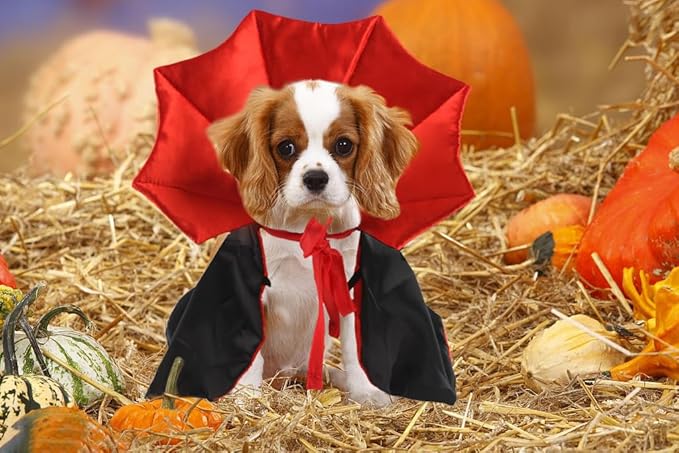 Pet Halloween Costumes Dogs Cats Halloween Vampire Pets Costume Cape Black Red Witch Stand-up Collar Cape Cat Puppy Cosplay Clothes Apparel for Pets Dress Up Accessories Halloween Party Decor