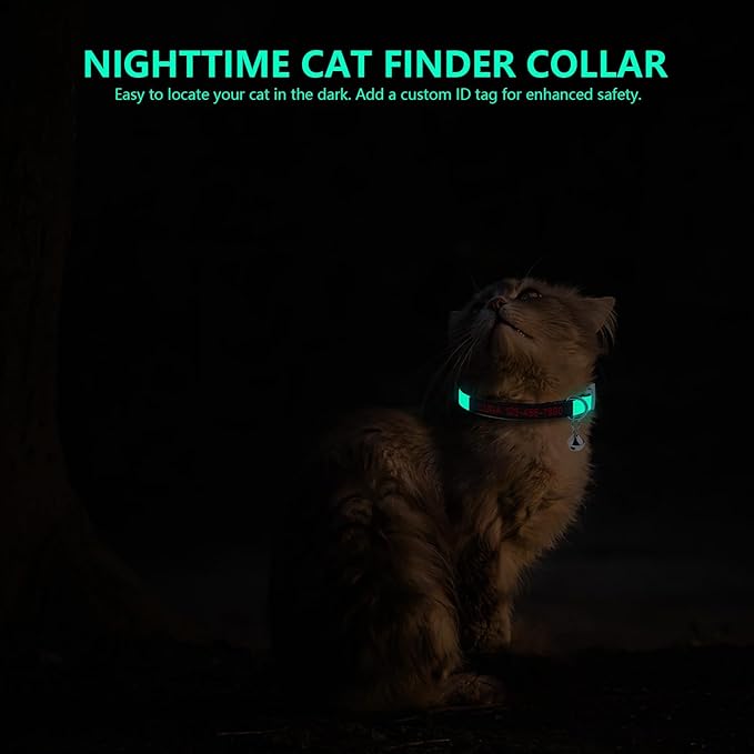 Personalized Nylon Cat Collar Breakaway with Bell, Custom Glow in The Dark ID Collar with Embroidered Name and Phone Number (Glow in The Dark)