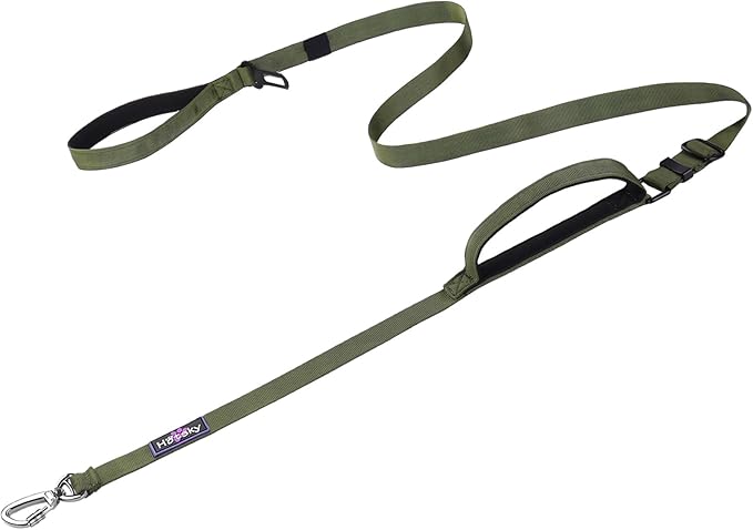 Hotsky Heavy Duty Dog Leash,4.5-6 FT Adjustable Durable Nylon Seatbelt Lead with Two Padded Traffic Handle and Carabiner for Large Medium and Small Breed Dogs,ArmyGreen