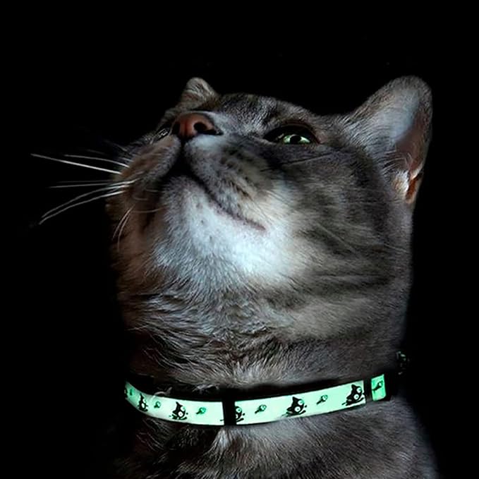 Pawtitas Glow in The Dark Cat Collar with Breakaway Safety Buckle & Bell Adjustable Kitten Collar, Set of 2 GID Teal/Black