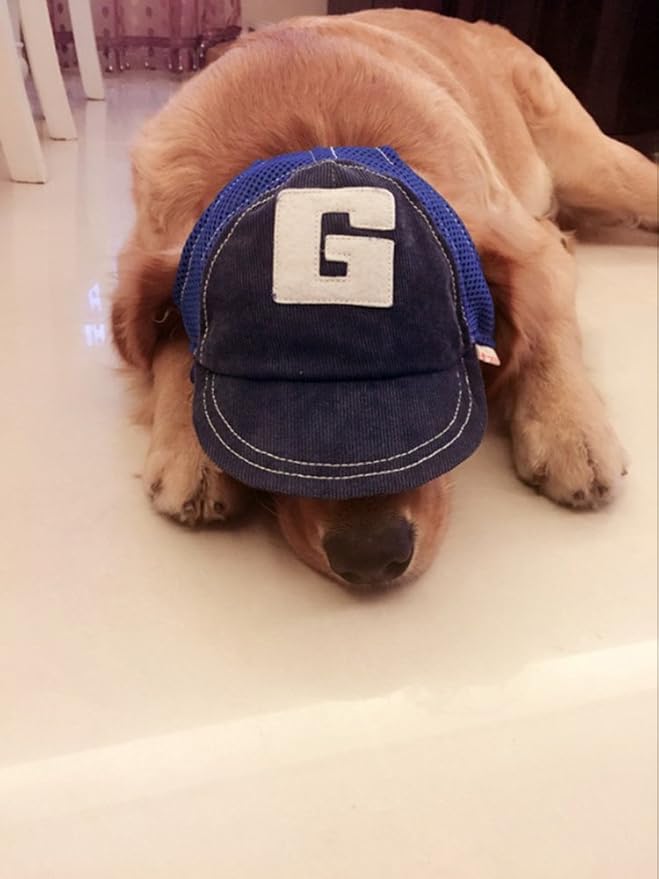 Pet Dog Baseball Cap Sport Cap Hat - Outdoor Hat Sun Protection Summer Cap for Small Medium Large Dog (Small Cap, Blue)