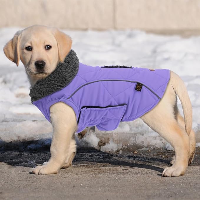 EMUST Winter Coat for Large Dogs, Windproof Dog Jacket for Cold Weather, Extra Warm Pet Winter Clothes for Small Medium Large Dogs, Purple, XXL