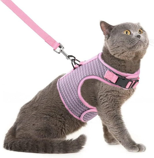 PUPTECK Soft Mesh Cat Vest Harness and Leash Set Puppy Padded Pet Harnesses Escape Proof for Cats Small Dogs Rabbits Bunny
