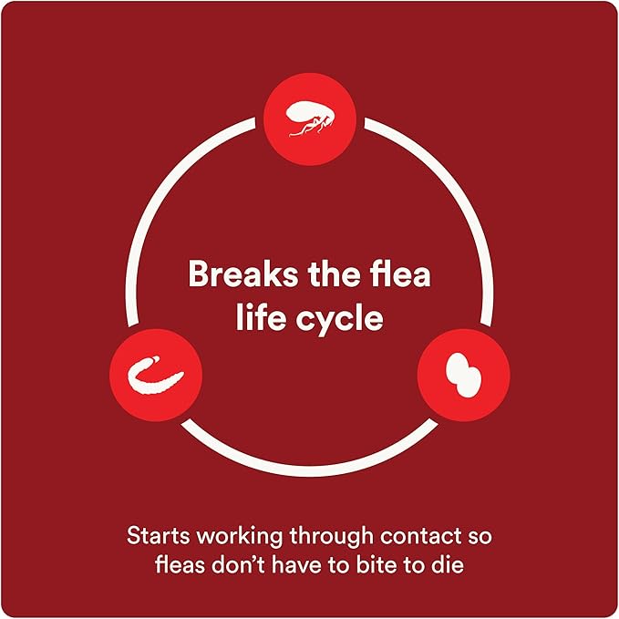 Advecta Ultra Flea and Tick Prevention for Dogs - Blue Flea and Tick Treatment & Control - Mosquito Repellent - Fast Acting Waterproof Topical Drops, 4 Month Supply