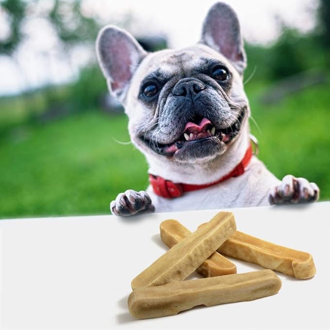 EcoKind Premium Gold Yak Cheese Himalayan Dog Chews, Dog Treats Large Breed, All Natural, High Protein, for Aggressive Chewers, Large - 3 Chews