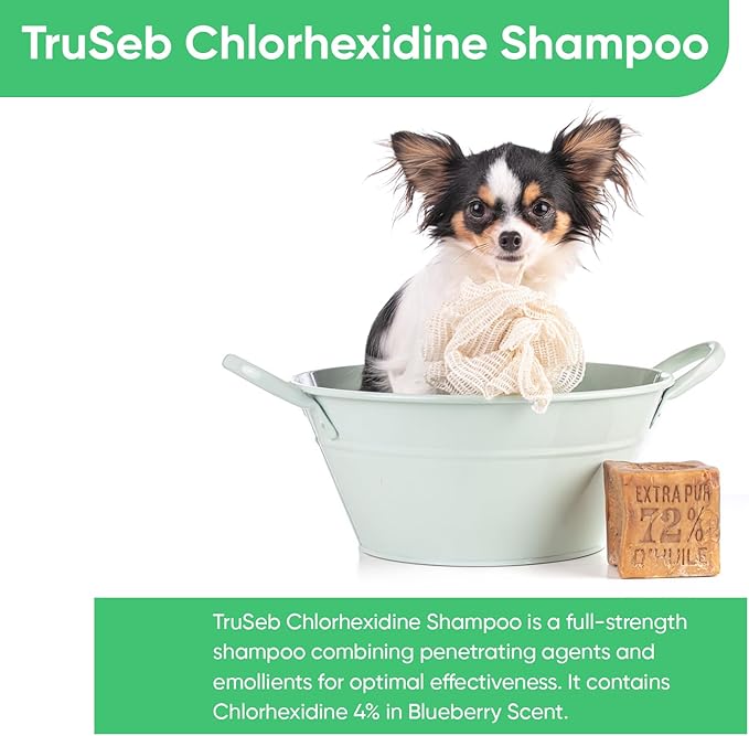 Truseb Topical Chlorhexidine 4% Shampoo for Dogs, Cats & Horses (12 oz)- with Aloe for Cleansing (Chlorhexidine 4% Shampoo, 12 oz)