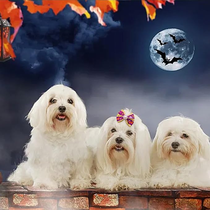 PET SHOW 20pcs Dog Hair Bows with Alligator Clips for Small Medium Dogs Bowknot Hair Clips Cat Puppy Yorkshire Grooming Hair Accessories Assorted (Halloween Thanksgiving Day)